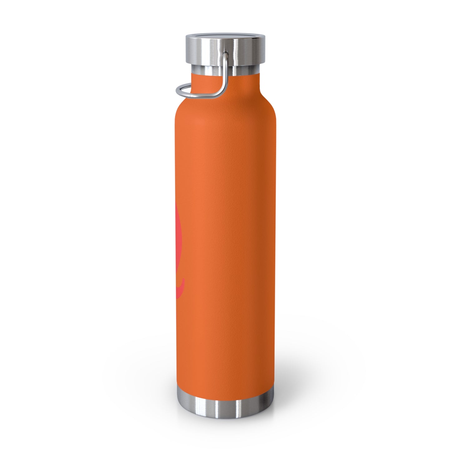 "Q" Collection 22oz Insulated Bottle