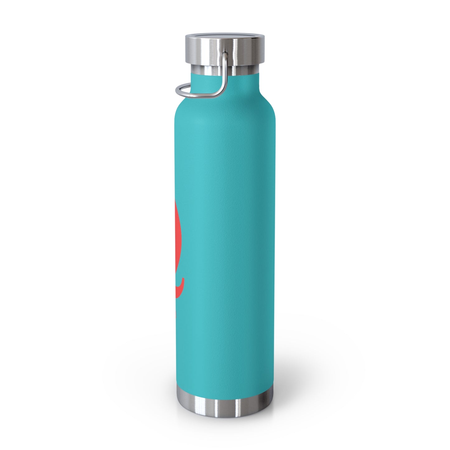 "Q" Collection 22oz Insulated Bottle