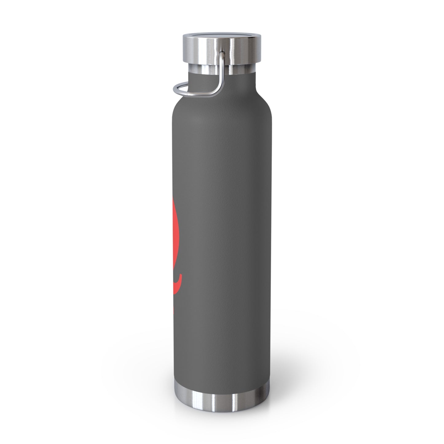 "Q" Collection 22oz Insulated Bottle